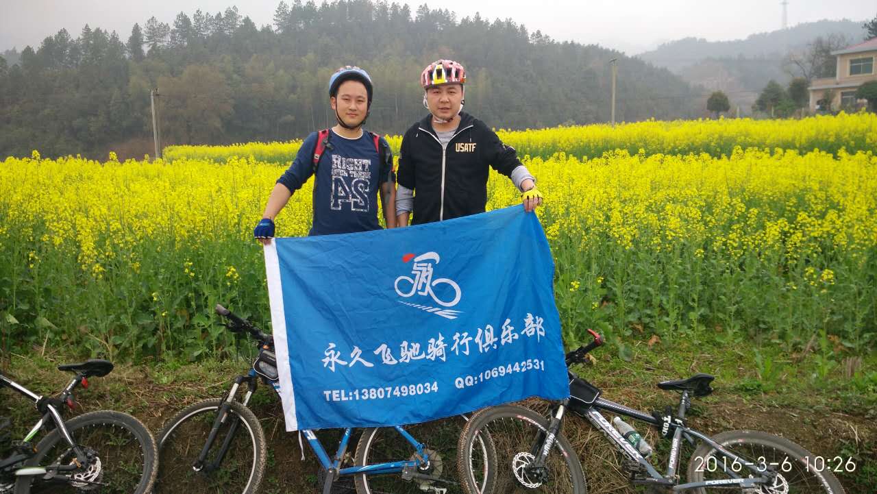 哈哈体育官方网站图片
