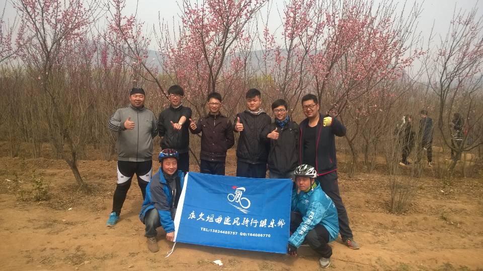 哈哈体育官方网站图片