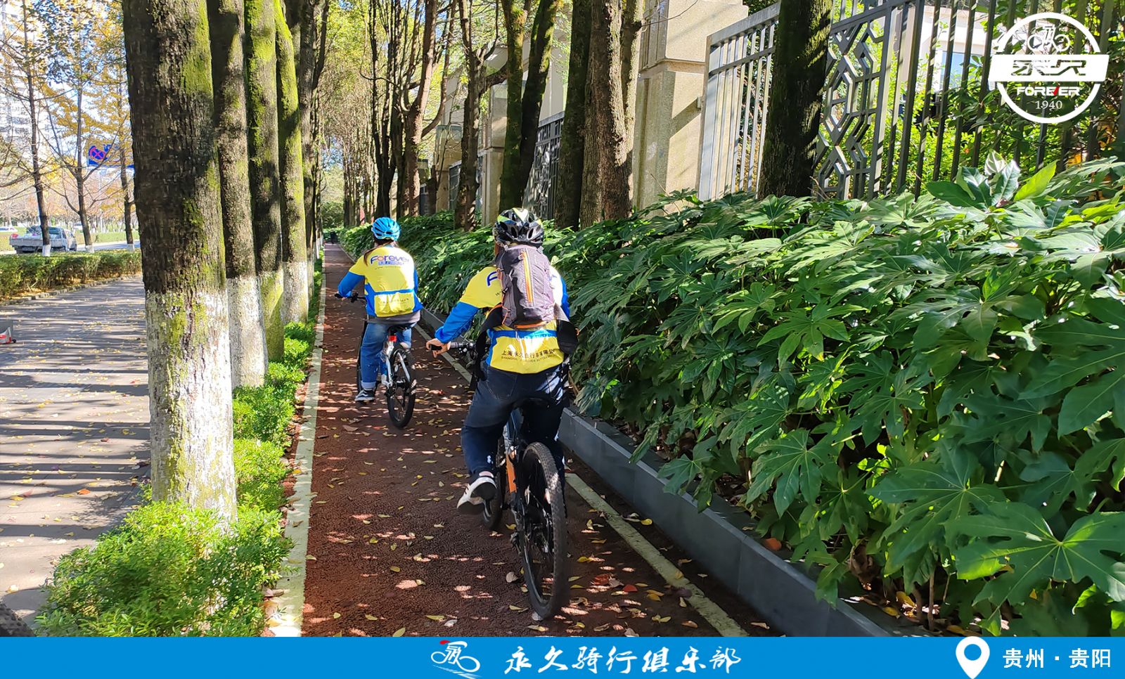 哈哈体育官方网站图片